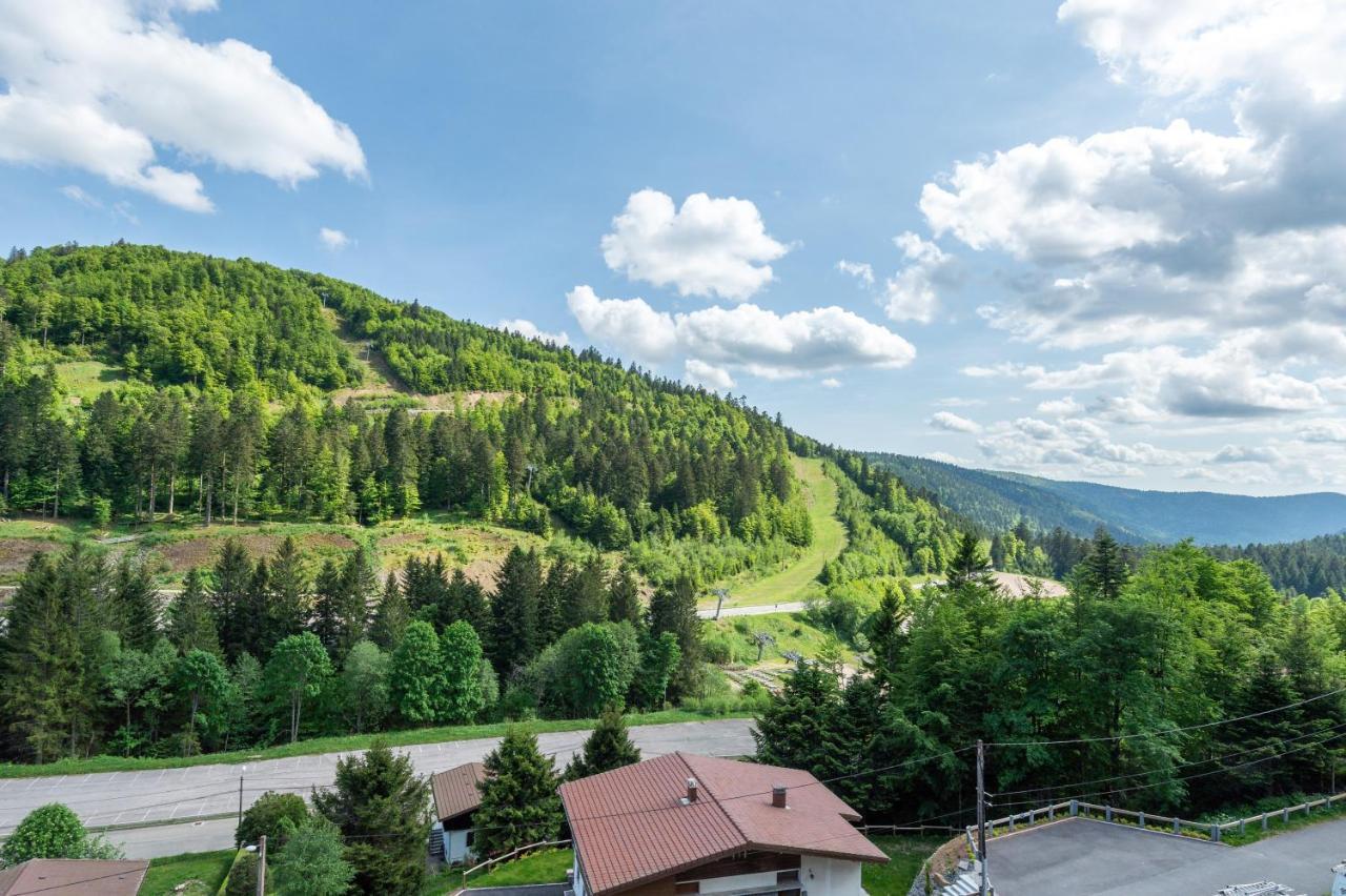 Le Petit Sapin Apartment La Bresse Bagian luar foto